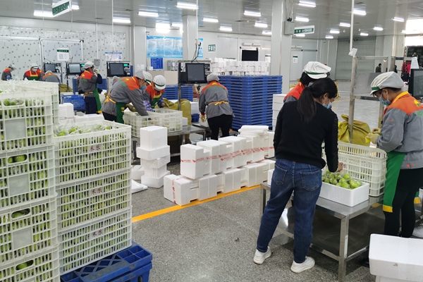 博源国际(中国)有限公司官网