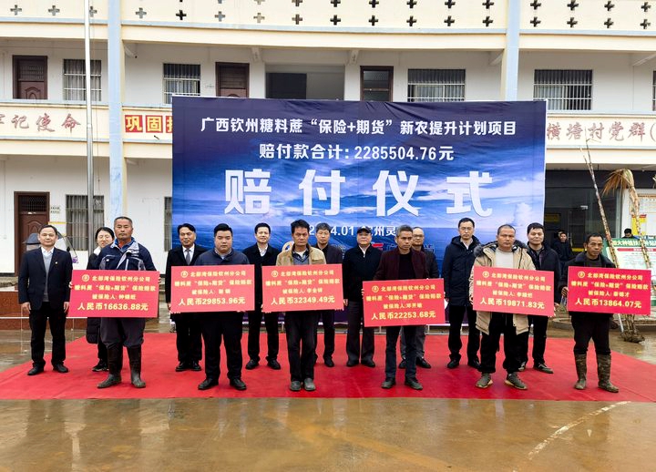 博源国际(中国)有限公司官网